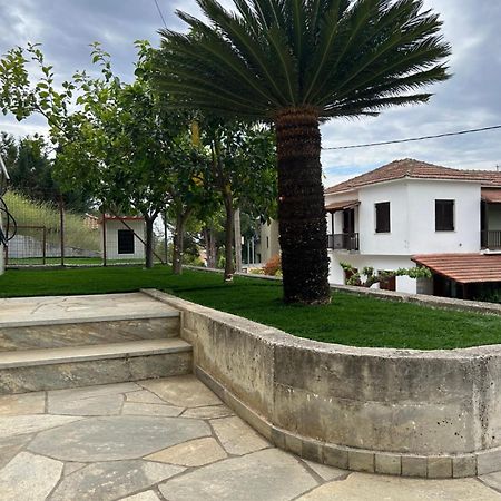 Athena'S Luxury Place Αγριά Εξωτερικό φωτογραφία