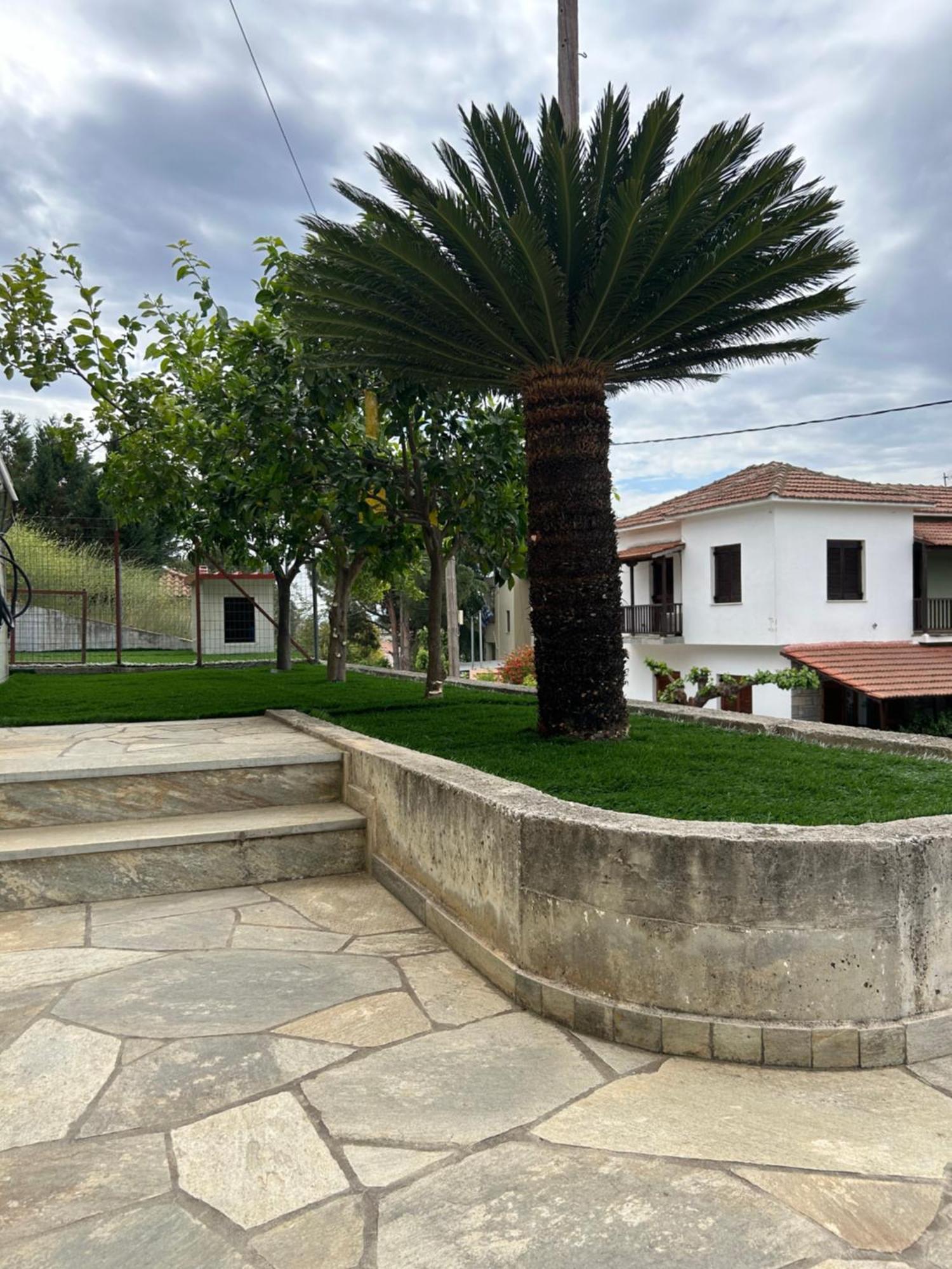 Athena'S Luxury Place Αγριά Εξωτερικό φωτογραφία